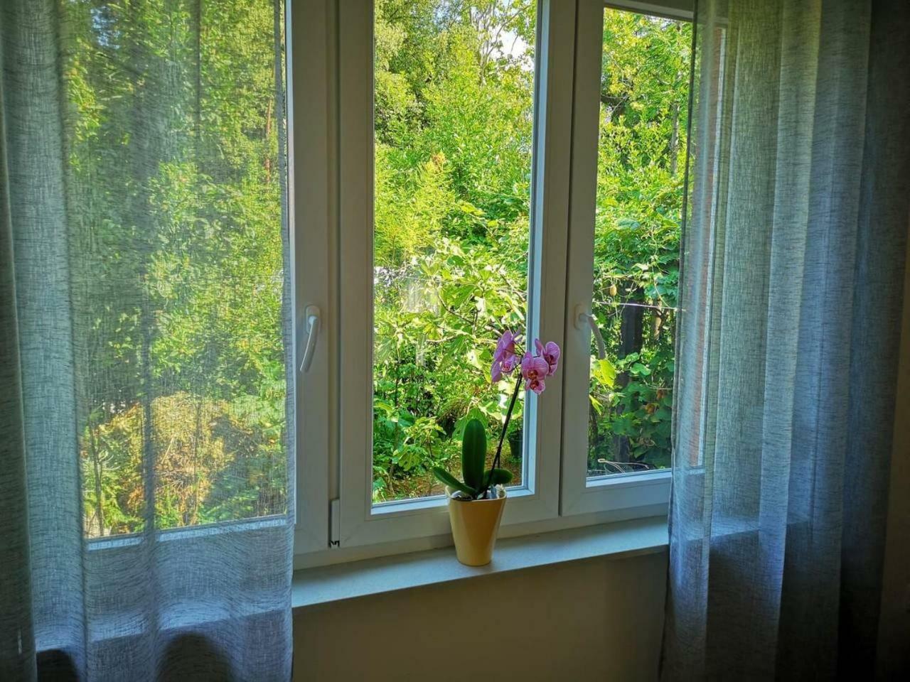 Apartment Mrak Lovran Zewnętrze zdjęcie